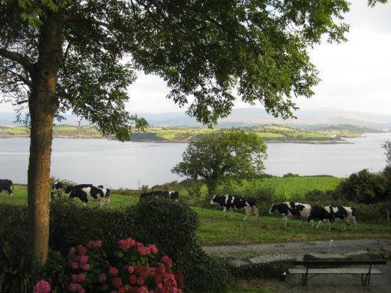 Dromcloc House Bed & Breakfast Bantry Exterior photo